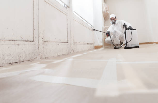 24/7 Emergency Bathroom Mold Removal experts in Gallitzin, PA
